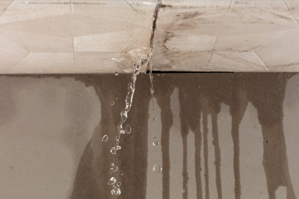 Professional Structural Drying technician working in Port Richey, FL